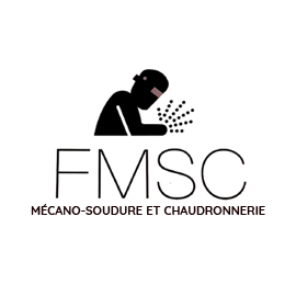 LOGO F.M.S.C.